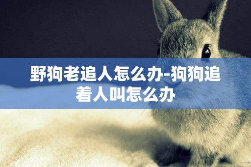 野狗老追人怎么辦-狗狗追著人叫怎么辦