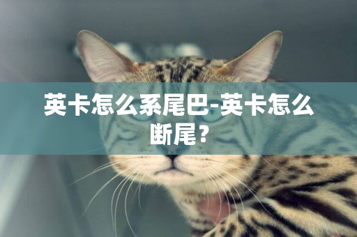 英卡怎么系尾巴-英卡怎么斷尾？