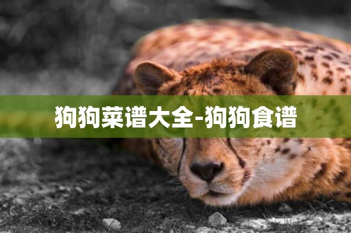 狗狗菜譜大全-狗狗食譜