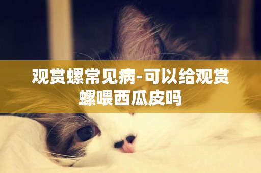 觀賞螺常見病-可以給觀賞螺喂西瓜皮嗎