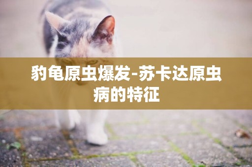 豹龜原蟲爆發-蘇卡達原蟲病的特征