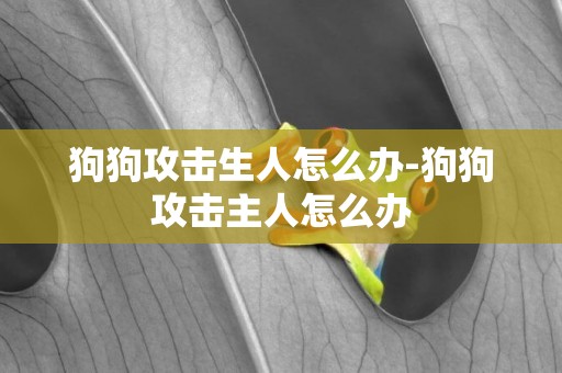 狗狗攻擊生人怎么辦-狗狗攻擊主人怎么辦
