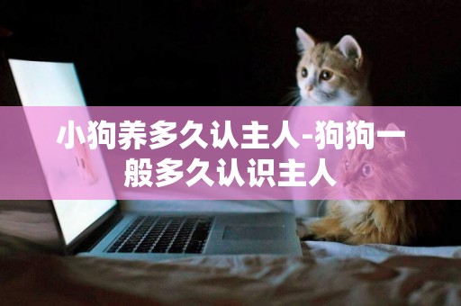 小狗養多久認主人-狗狗一般多久認識主人