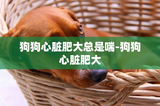 狗狗心臟肥大總是喘-狗狗心臟肥大
