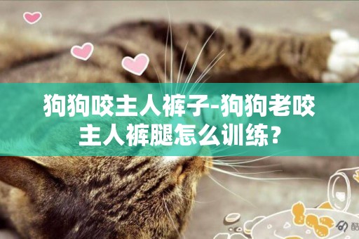 狗狗咬主人褲子-狗狗老咬主人褲腿怎么訓練？