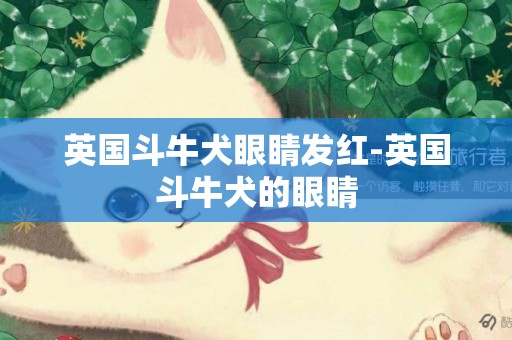 英國斗牛犬眼睛發紅-英國斗牛犬的眼睛