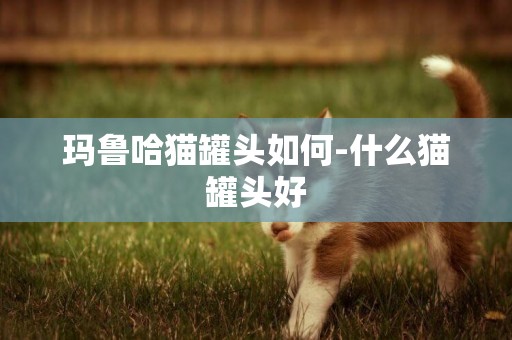 瑪魯哈貓罐頭如何-什么貓罐頭好