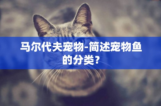 馬爾代夫寵物-簡述寵物魚的分類？