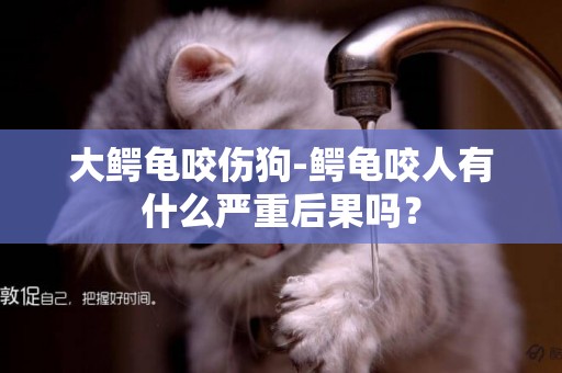 大鱷龜咬傷狗-鱷龜咬人有什么嚴重后果嗎？