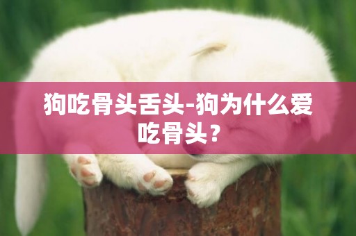 狗吃骨頭舌頭-狗為什么愛吃骨頭？