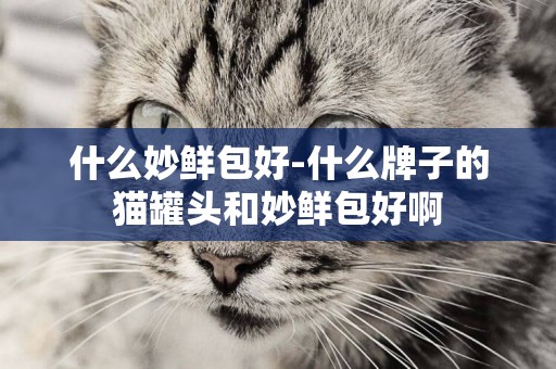 什么妙鮮包好-什么牌子的貓罐頭和妙鮮包好啊