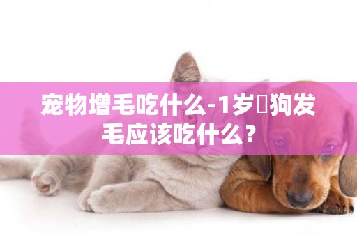 寵物增毛吃什么-1歲旳狗發毛應該吃什么？