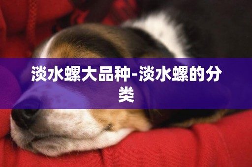 淡水螺大品種-淡水螺的分類
