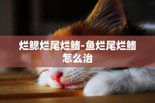 爛鰓爛尾爛鰭-魚爛尾爛鰭怎么治