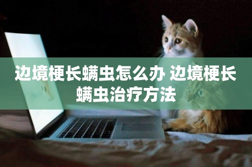 邊境梗長螨蟲怎么辦 邊境梗長螨蟲治療方法