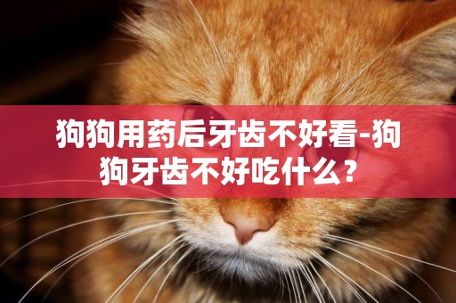 狗狗用藥后牙齒不好看-狗狗牙齒不好吃什么？