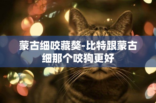 蒙古細咬藏獒-比特跟蒙古細那個咬狗更好