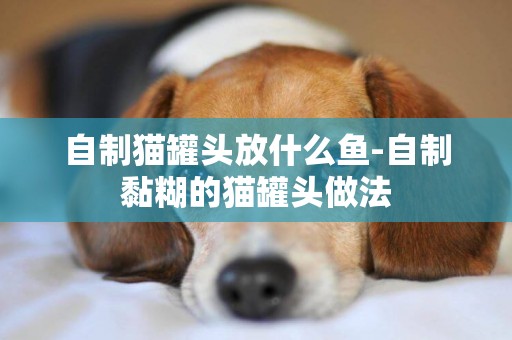 自制貓罐頭放什么魚-自制黏糊的貓罐頭做法