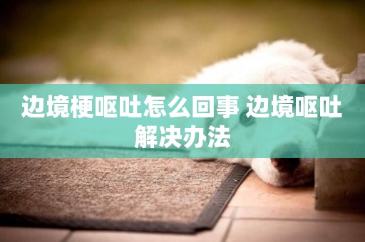 邊境梗嘔吐怎么回事 邊境嘔吐解決辦法
