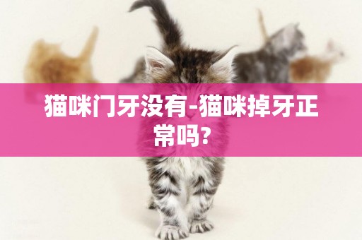 貓咪門牙沒有-貓咪掉牙正常嗎?