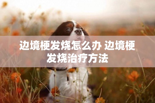 邊境梗發燒怎么辦 邊境梗發燒治療方法