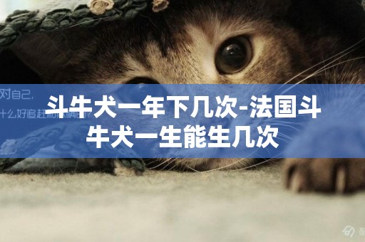 斗牛犬一年下幾次-法國斗牛犬一生能生幾次