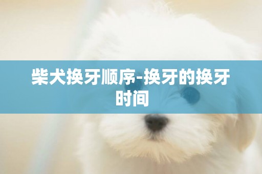 柴犬換牙順序-換牙的換牙時間