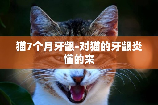 貓7個月牙齦-對貓的牙齦炎懂的來