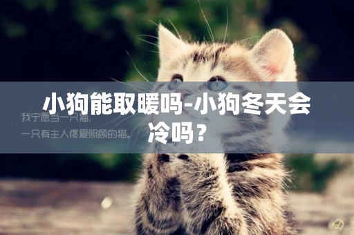 小狗能取暖嗎-小狗冬天會冷嗎？
