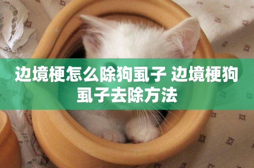邊境梗怎么除狗虱子 邊境梗狗虱子去除方法