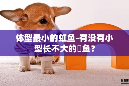 體型最小的虹魚-有沒有小型長不大的魟魚？