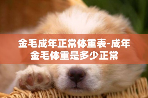 金毛成年正常體重表-成年金毛體重是多少正常