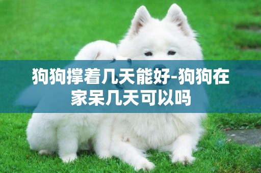 狗狗撐著幾天能好-狗狗在家呆幾天可以嗎