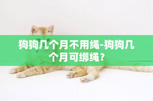 狗狗幾個月不用繩-狗狗幾個月可綁繩？