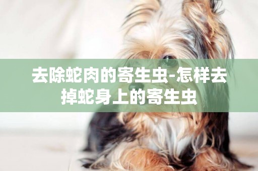 去除蛇肉的寄生蟲-怎樣去掉蛇身上的寄生蟲