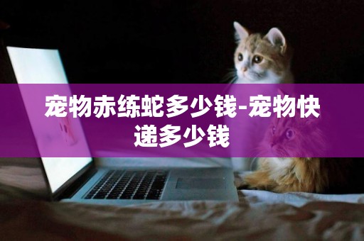 寵物赤練蛇多少錢-寵物快遞多少錢