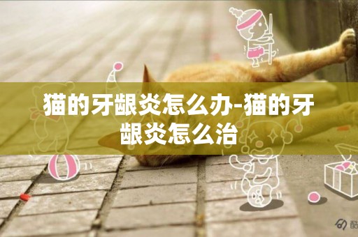 貓的牙齦炎怎么辦-貓的牙齦炎怎么治