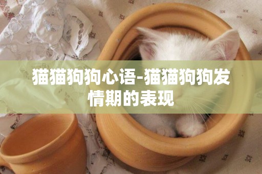 貓貓狗狗心語-貓貓狗狗發情期的表現