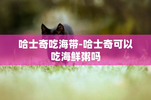 哈士奇吃海帶-哈士奇可以吃海鮮粥嗎