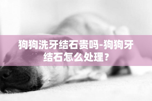 狗狗洗牙結石貴嗎-狗狗牙結石怎么處理？