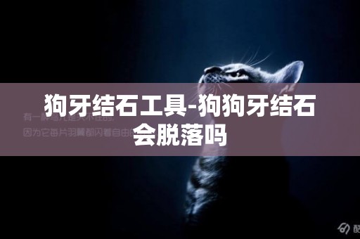 狗牙結石工具-狗狗牙結石會脫落嗎