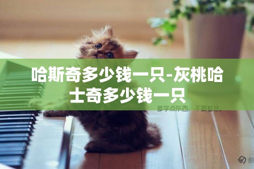哈斯奇多少錢一只-灰桃哈士奇多少錢一只