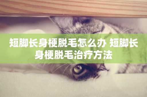 短腳長身梗脫毛怎么辦 短腳長身梗脫毛治療方法