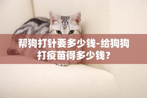 幫狗打針要多少錢-給狗狗打疫苗得多少錢？
