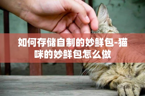 如何存儲自制的妙鮮包-貓咪的妙鮮包怎么做