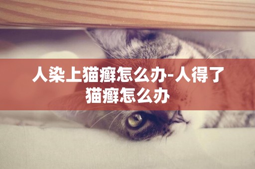 人染上貓癬怎么辦-人得了貓癬怎么辦