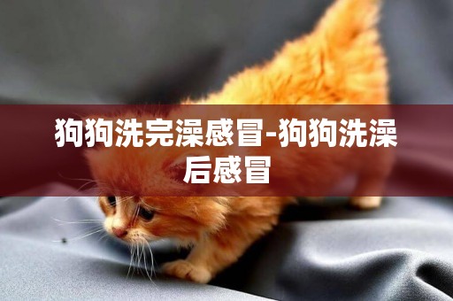 狗狗洗完澡感冒-狗狗洗澡后感冒