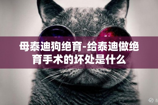 母泰迪狗絕育-給泰迪做絕育手術的壞處是什么