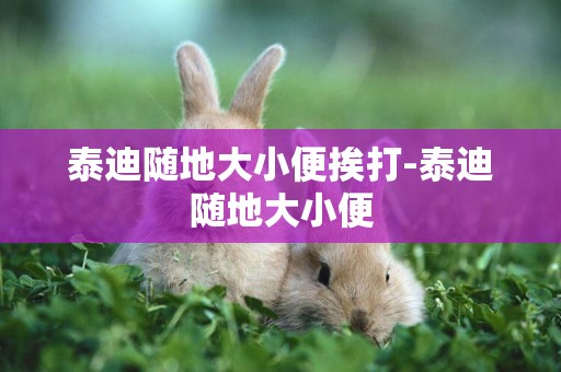 泰迪隨地大小便挨打-泰迪隨地大小便