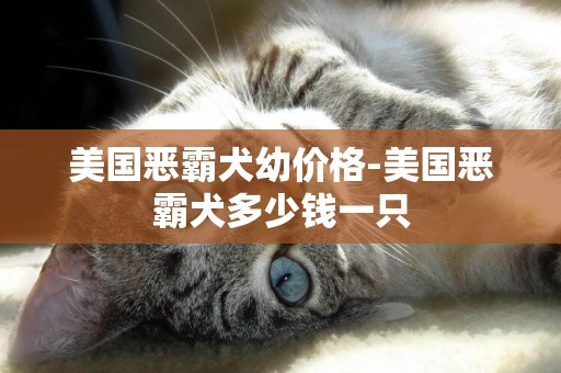 美國惡霸犬幼價格-美國惡霸犬多少錢一只